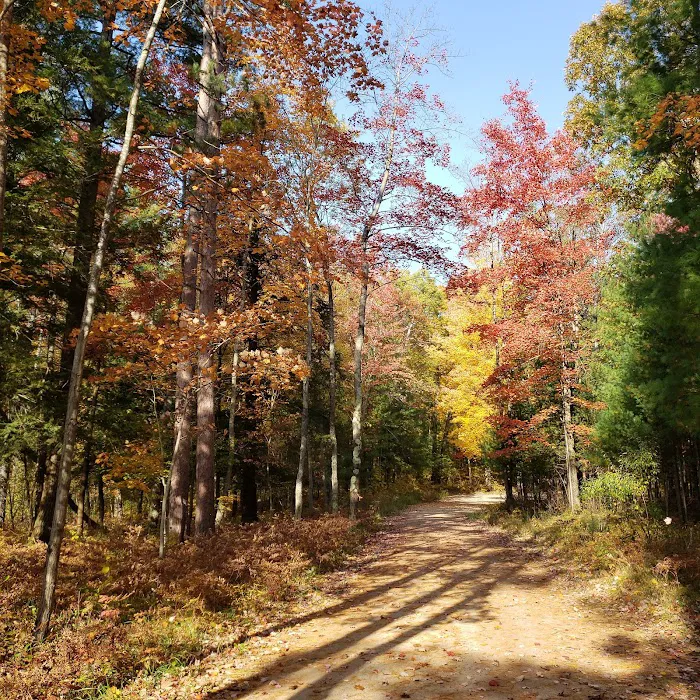 Timber Creek Campground 10