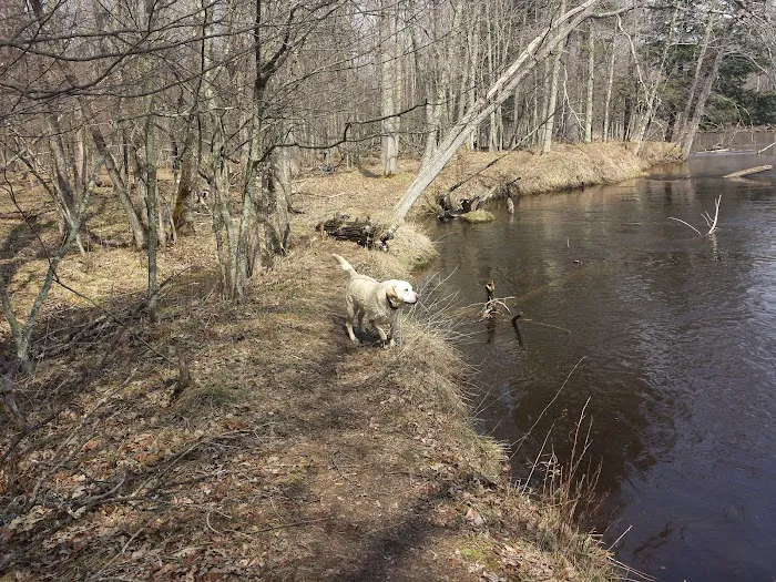 Bowman Bridge River Access 1