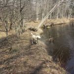 Bowman Bridge River Access