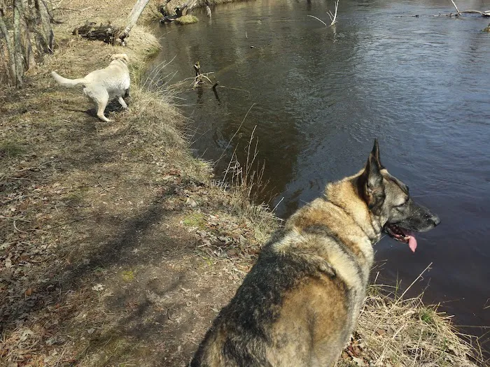 Bowman Bridge River Access 3
