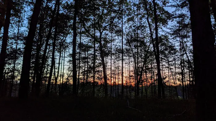 Leverentz Lake State Forest Campground 5