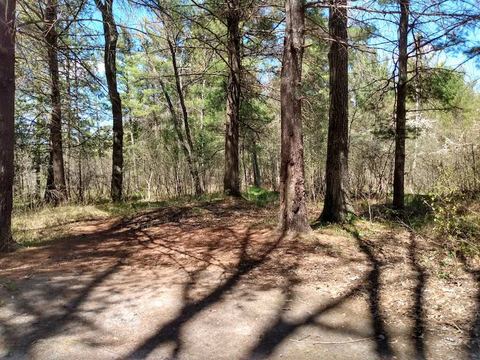 Leverentz Lake State Forest Campground 6