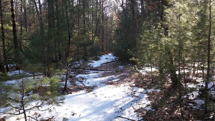 Bray Creek State Forest Campground 3
