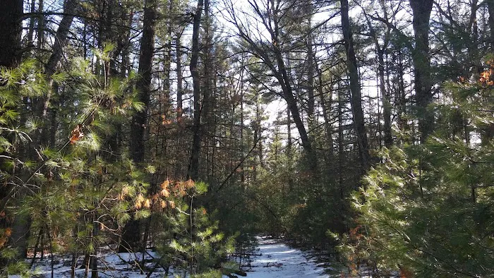 Bray Creek State Forest Campground 2