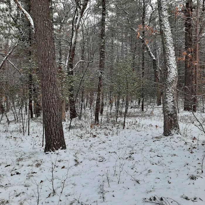 Bray Creek State Forest Campground 10