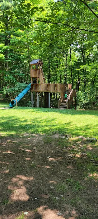 Bray Creek State Forest Campground 8