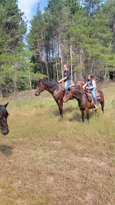 D bar D Ranch 2