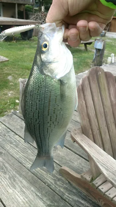 Cold Creek Trout Camp 1