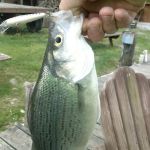 Cold Creek Trout Camp