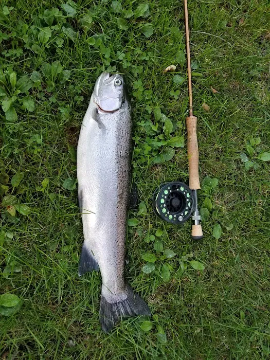 Cold Creek Trout Camp 2