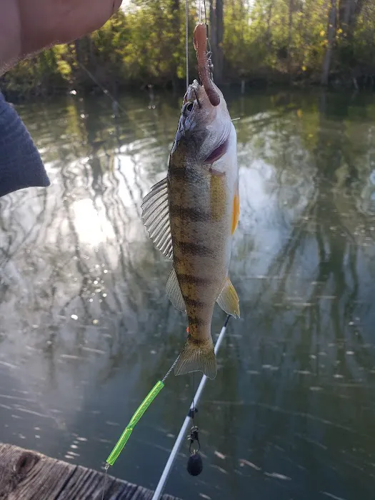Cold Creek Trout Camp 6