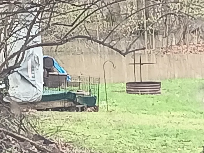 Oakdale Campground 1