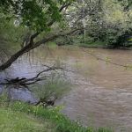 Shroyer's Mobile Homes