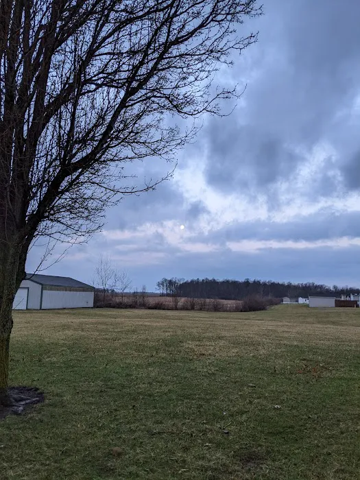 Bennington Springs 1