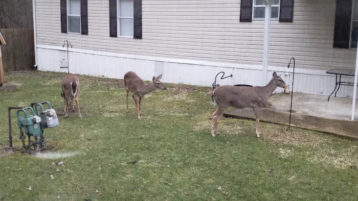 Madison City Mobile Home Community 1