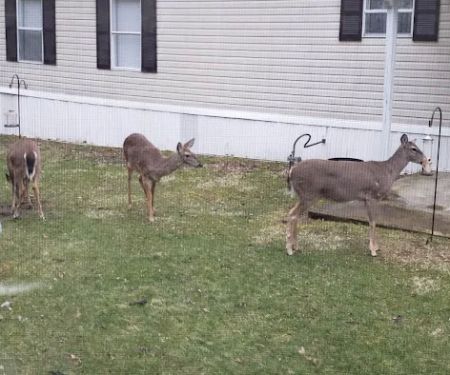 Madison City Mobile Home Community