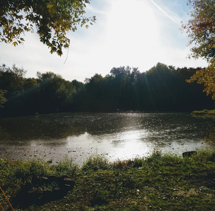 Eagle Point, Charles Mill Lake Park 6