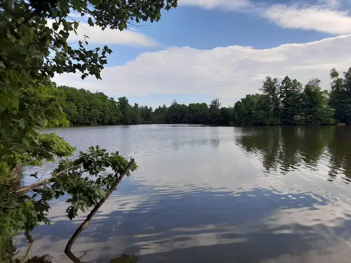 Rohr Lake 10