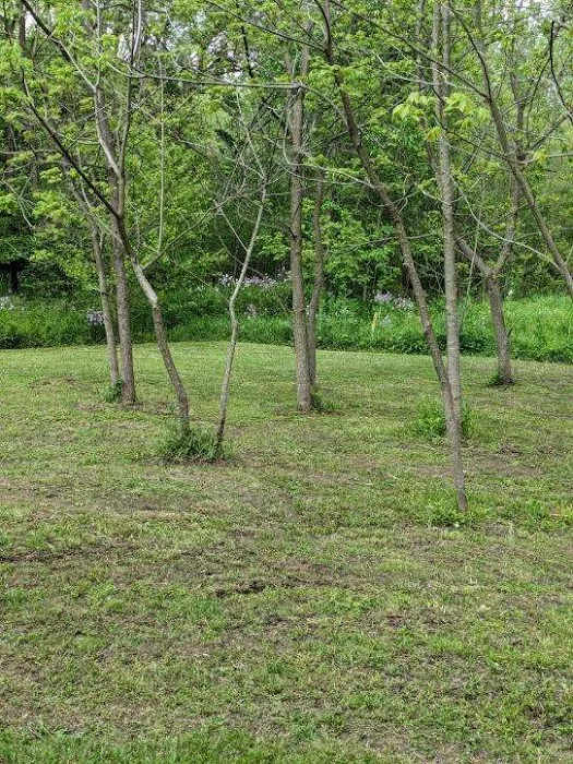 2 Bees Campground 2
