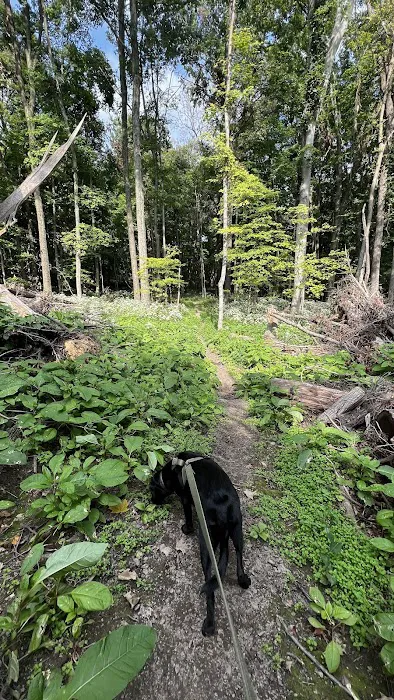 Malabar Farm State Park Campground 4
