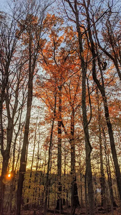 Malabar Farm State Park Campground 5