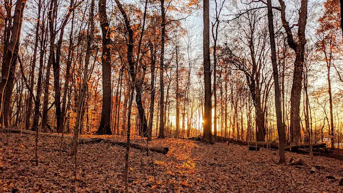 Malabar Farm State Park Campground 9