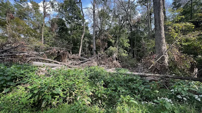 Malabar Farm State Park Campground 7