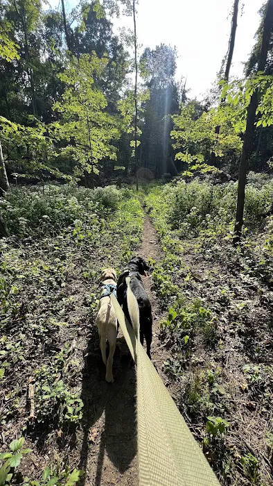 Malabar Farm State Park Campground 10