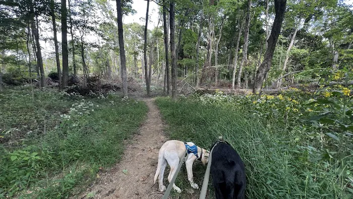 Malabar Farm State Park Campground 8
