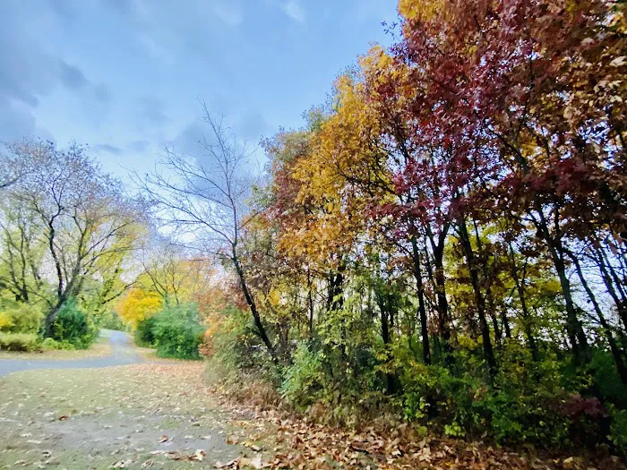 Pontiac Lake State Recreation Area Campground 8