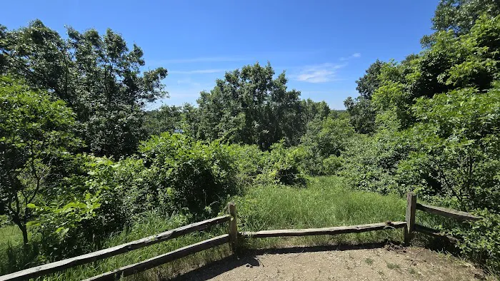 Pontiac Lake State Recreation Area Campground 7