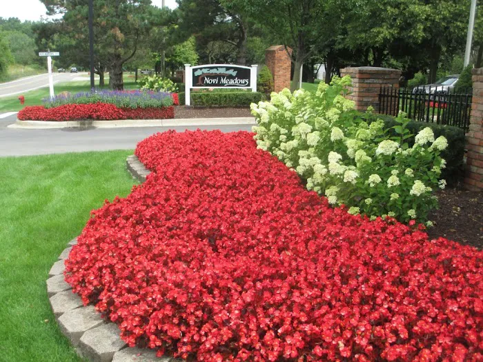 Novi Meadows 6