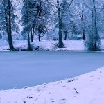 Kearsley Lake Terrace