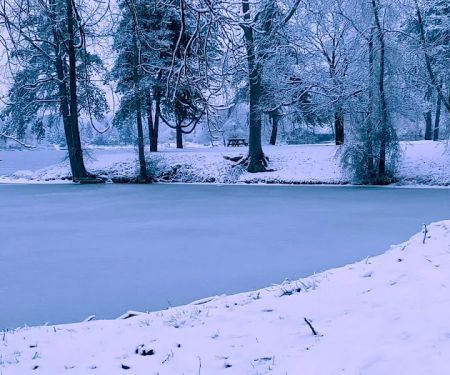 Kearsley Lake Terrace