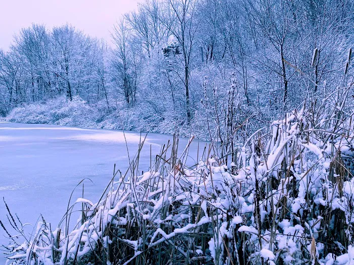 Kearsley Lake Terrace 2