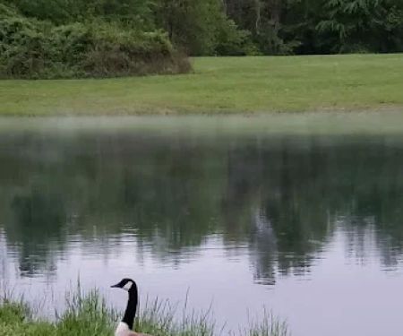 Longview RV Park