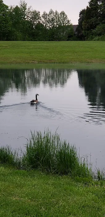 Longview RV Park 4