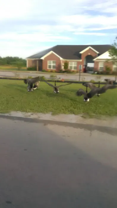 Shepherdsville Pointe Mobile Home Park 5