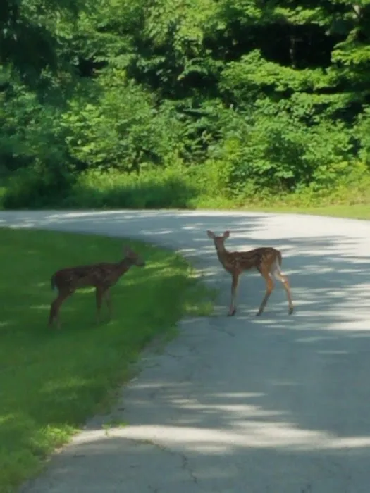 Hones Pointe Campground and park 10