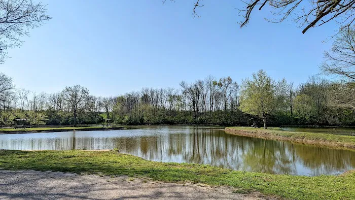 Lake Shelby 5