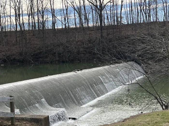 Lake Shelby 10