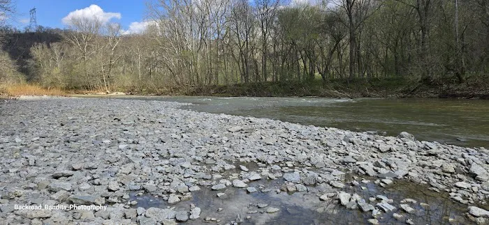Callis Grove Campground 1