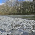 Callis Grove Campground