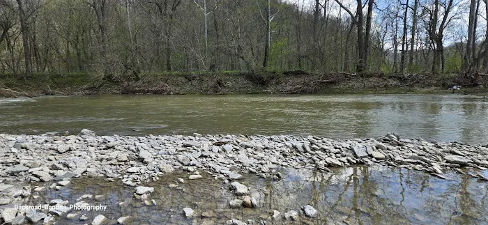 Callis Grove Campground 3