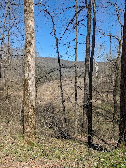 First Creek 1 Campground 3