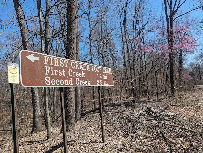 First Creek 1 Campground 5