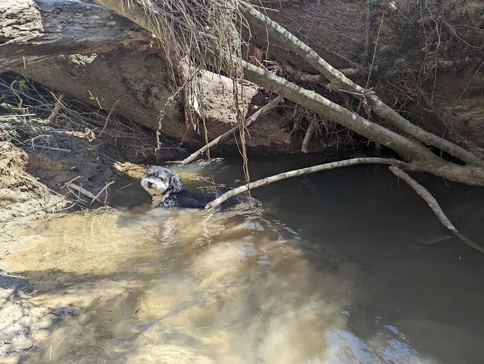 First Creek 1 Campground 1