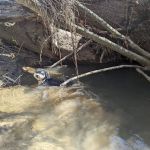 First Creek 1 Campground