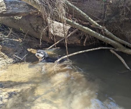 First Creek 1 Campground