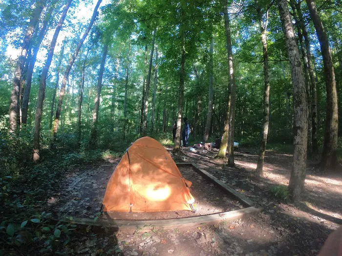 First Creek 2 Campground 1